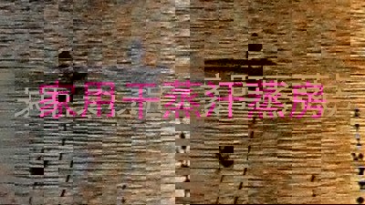 家用干蒸汗蒸房