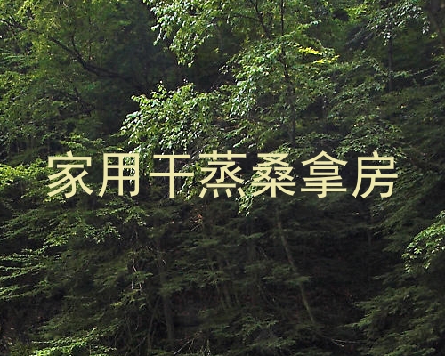 家用干蒸桑拿房