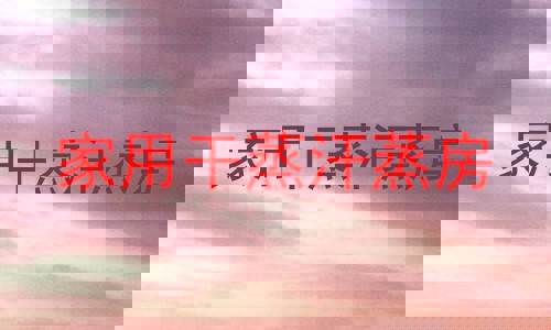 家用干蒸汗蒸房