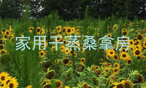 家用干蒸桑拿房