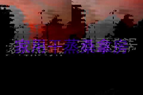 家用干蒸桑拿房