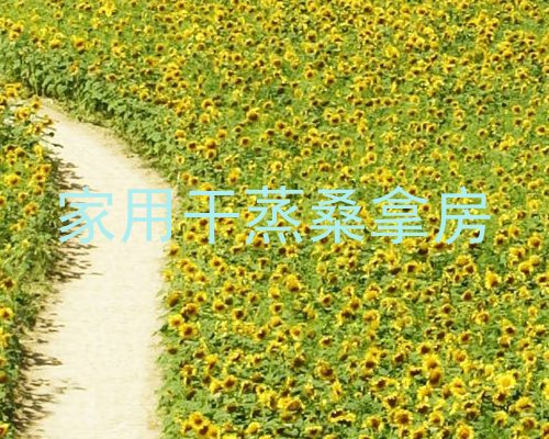 家用干蒸桑拿房