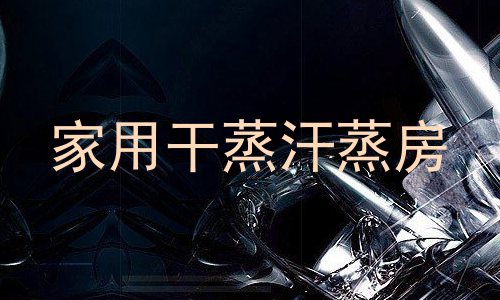 家用干蒸汗蒸房