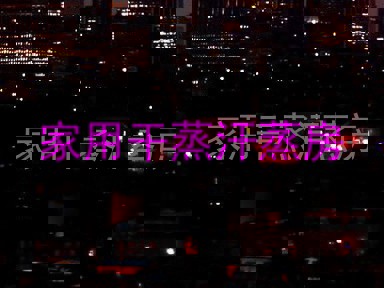 家用干蒸汗蒸房