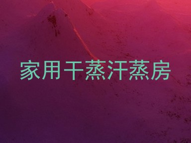 家用干蒸汗蒸房