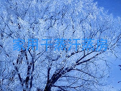 家用干蒸汗蒸房