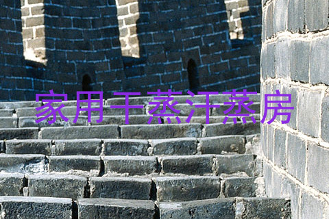 家用干蒸汗蒸房