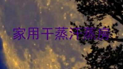 家用干蒸汗蒸房