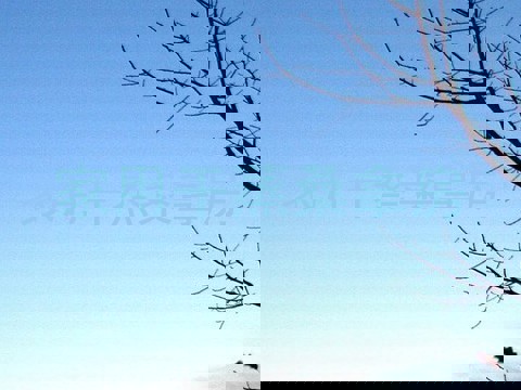 家用干蒸桑拿房