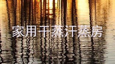 家用干蒸汗蒸房