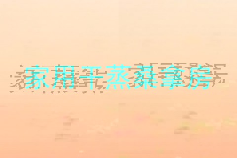 家用干蒸桑拿房