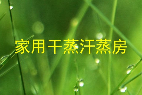 家用干蒸汗蒸房