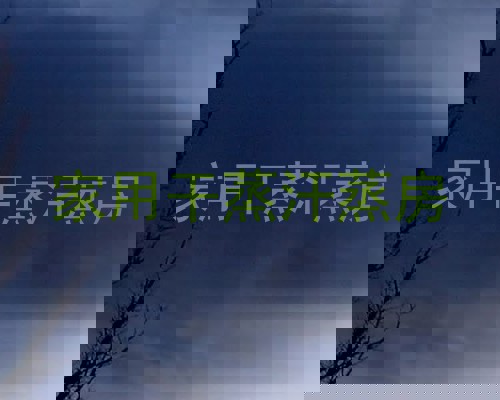 家用干蒸汗蒸房