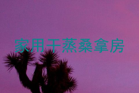 家用干蒸桑拿房