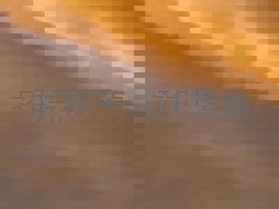 家用干蒸汗蒸房