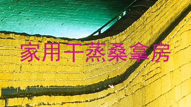 家用干蒸桑拿房