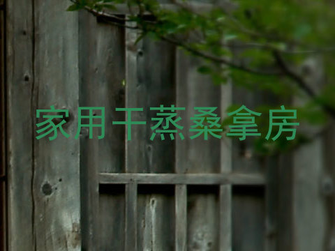 家用干蒸桑拿房