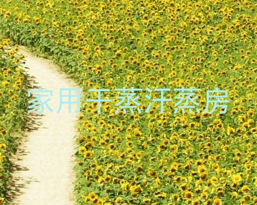 家用干蒸汗蒸房