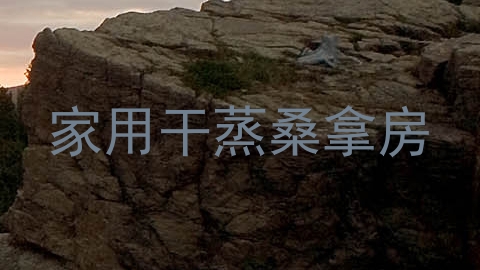 家用干蒸桑拿房