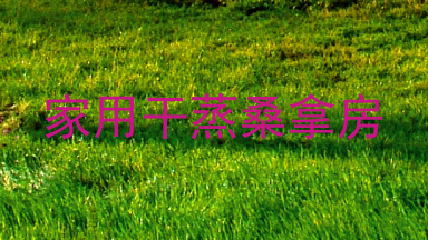 家用干蒸桑拿房