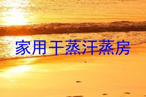 家用干蒸汗蒸房