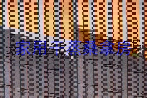 家用干蒸桑拿房