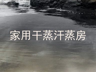 家用干蒸汗蒸房