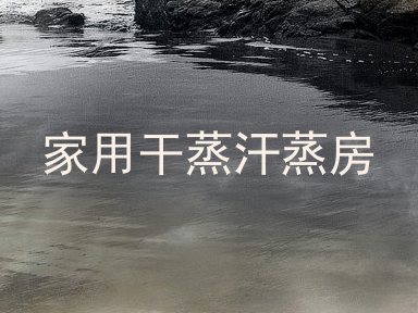 家用干蒸汗蒸房