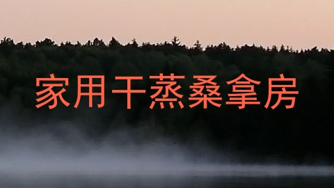 家用干蒸桑拿房