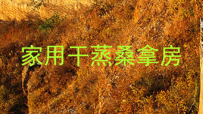 家用干蒸桑拿房