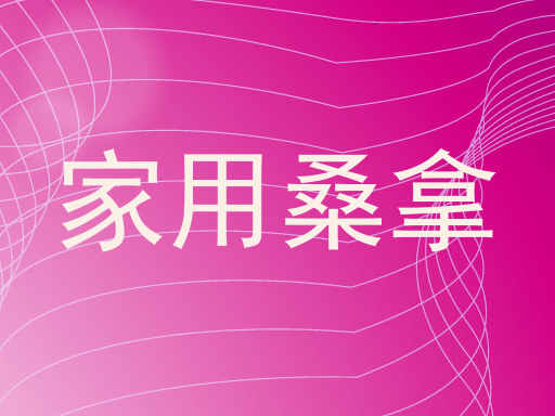 家用桑拿