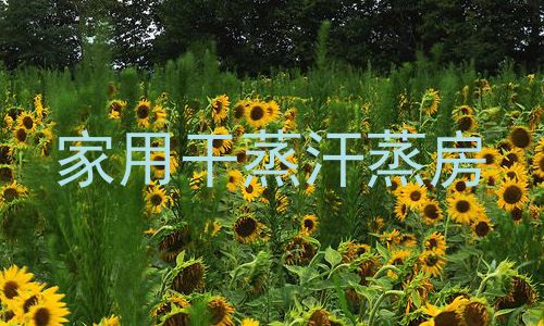 家用干蒸汗蒸房