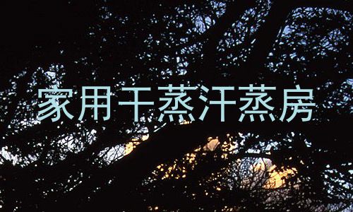 家用干蒸汗蒸房