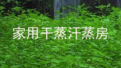 家用干蒸汗蒸房