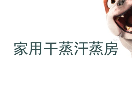 家用干蒸汗蒸房