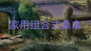 家用组合式桑拿