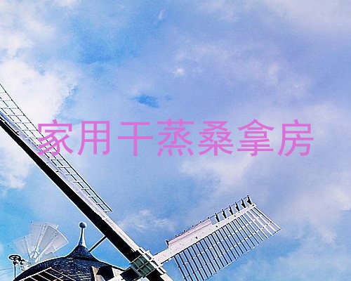 家用干蒸桑拿房