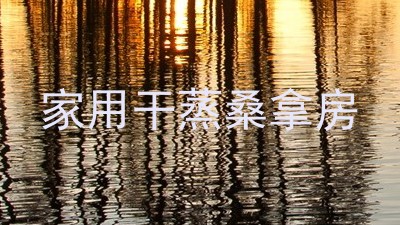 家用干蒸桑拿房