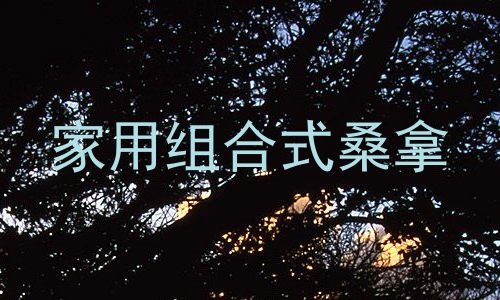 家用组合式桑拿