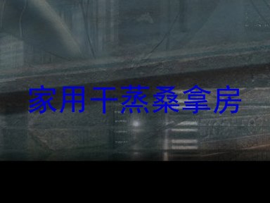 家用干蒸桑拿房