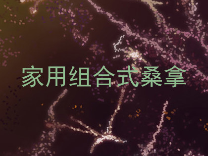 家用组合式桑拿