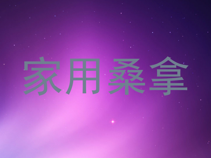 家用桑拿