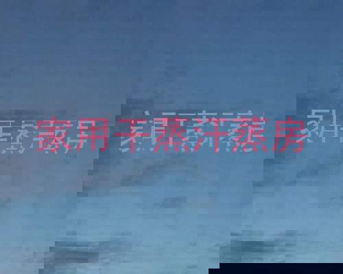 家用干蒸汗蒸房