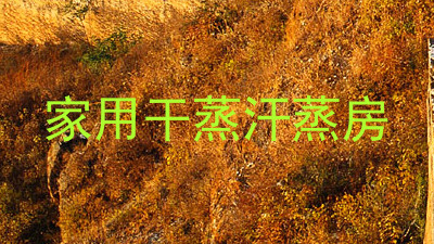 家用干蒸汗蒸房