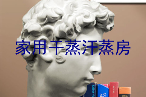 家用干蒸汗蒸房