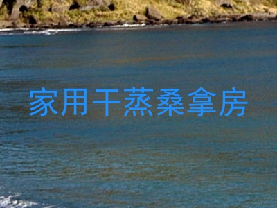 家用干蒸桑拿房