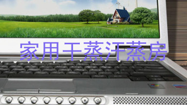 家用干蒸汗蒸房