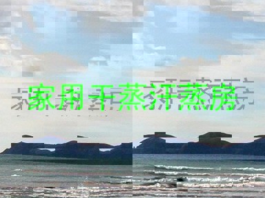 家用干蒸汗蒸房