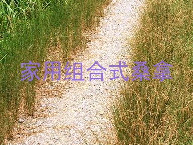 家用组合式桑拿