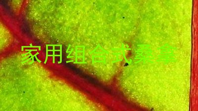 家用组合式桑拿